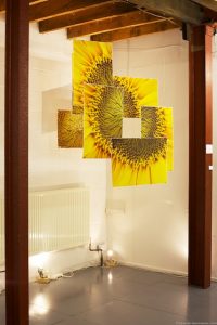 Sunflower installation - Denise Swanson