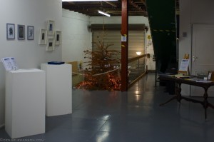 Oxheys Winter exhibition 2012