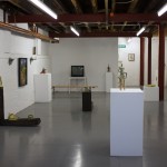 Ceramics, painting & film in Phoenix exhibition